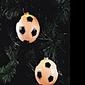 Soccer String Lights